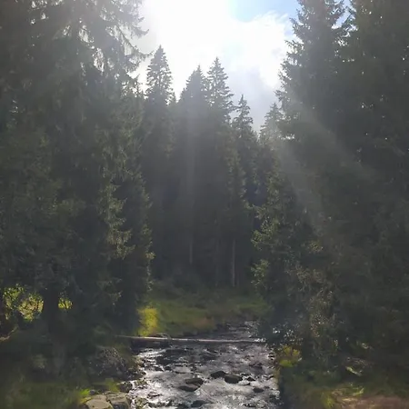 Tommy - Zadov Lejlighed Stachy